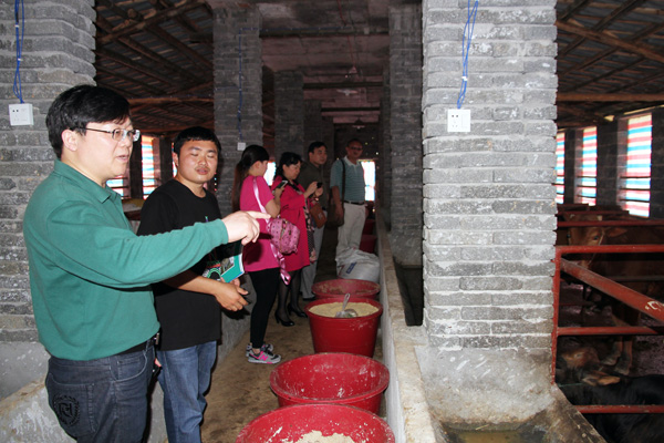 1511320026167058801.jpg 刘建民一行察看夏次龙的养牛农场。.jpg